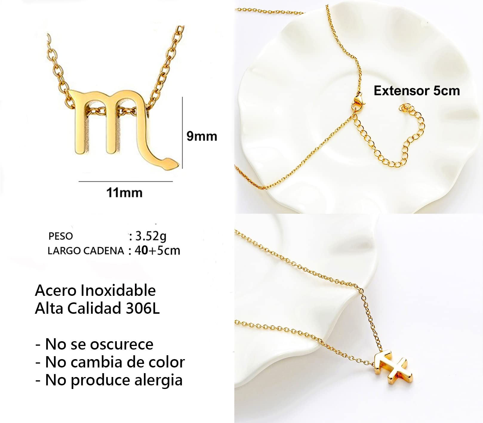 Collar Signo Zodiaco Escorpio Acero Inoxidable Dorado en hermosa Tarjeta Significado Signo Zodiacal Regalo Cumpleaños