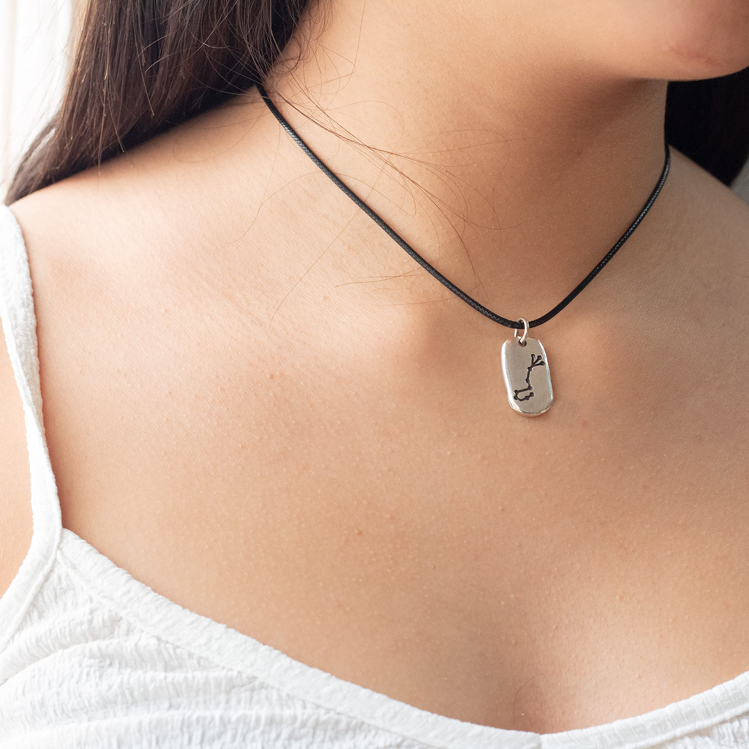 Colgante marca NILUXE DESIGN Horóscopo Signo del Zodiaco Escorpio - Collar de Zamak Bañado en Plata para Hombre y Mujer con Cordón Encerado Negro