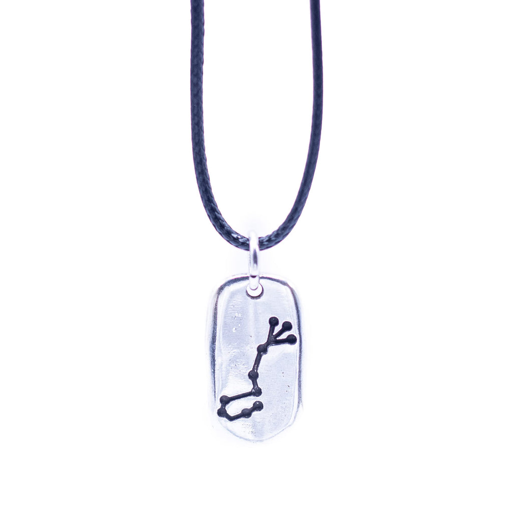 Colgante marca NILUXE DESIGN Horóscopo Signo del Zodiaco Escorpio - Collar de Zamak Bañado en Plata para Hombre y Mujer con Cordón Encerado Negro