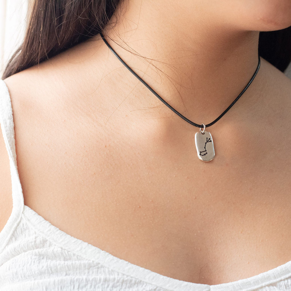 Colgante marca NILUXE DESIGN Horóscopo Signo del Zodiaco Escorpio - Collar de Zamak Bañado en Plata para Hombre y Mujer con Cordón Encerado Negro